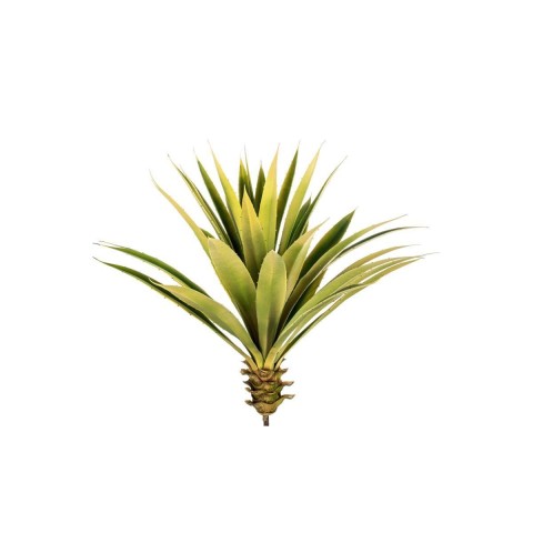 AGAVE H60 GREEN